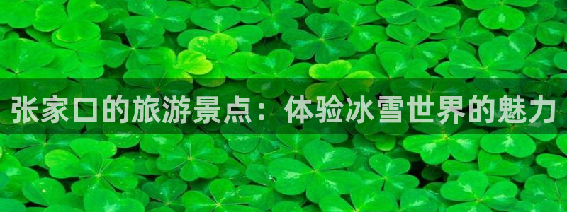 申搏sunbet官网手机版