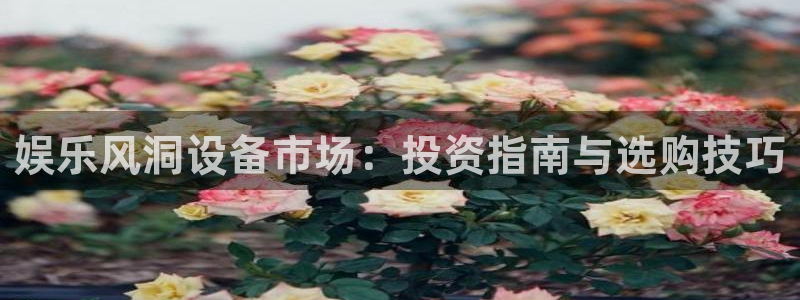 sunbet集团中国官网入口