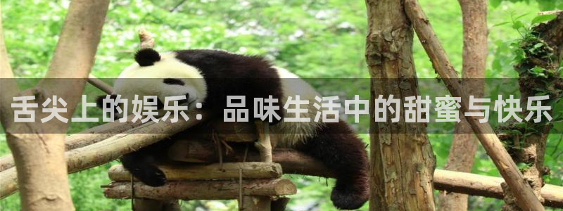 申搏sunbet官网手机版