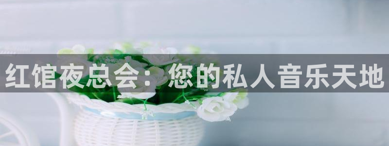 sunbet集团中国官网入口