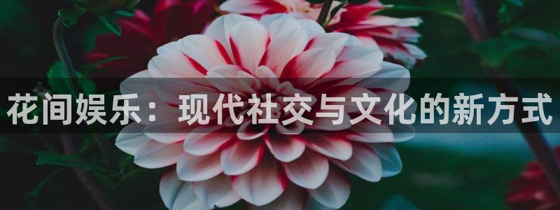 sunbet官网