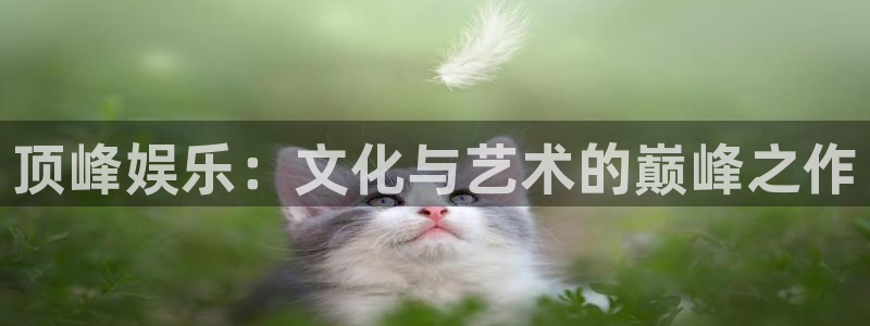 sunbet官网手机版